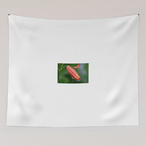 Item preview, AFTER THE RAIN designed and sold by Larry Trupp.