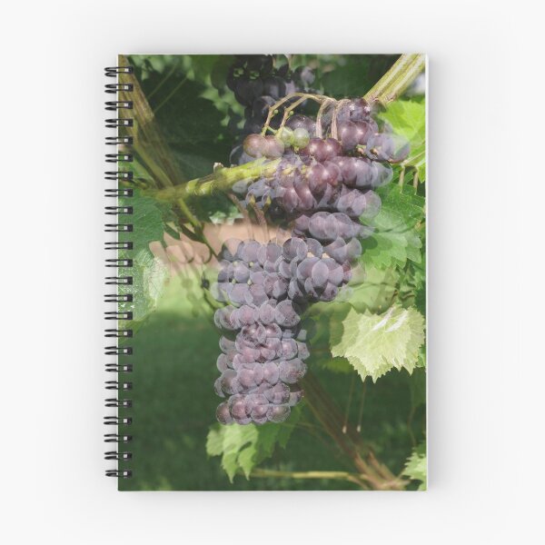 Item preview, ¿Viendo doble? Tal vez es demasiado fruto de la vid! designed and sold by rvjames.
