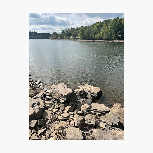 Item preview, Summer by a rustic lake designed and sold by TheCozyGlow.