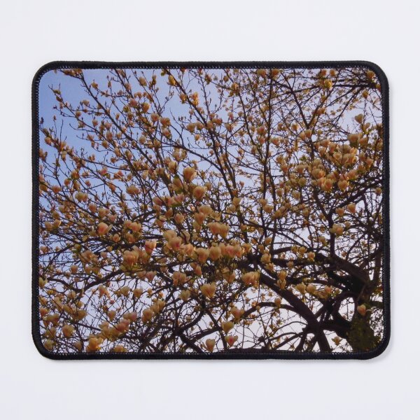 Item preview, Spring flowers pictures, peach colors designed and sold by marghe41.