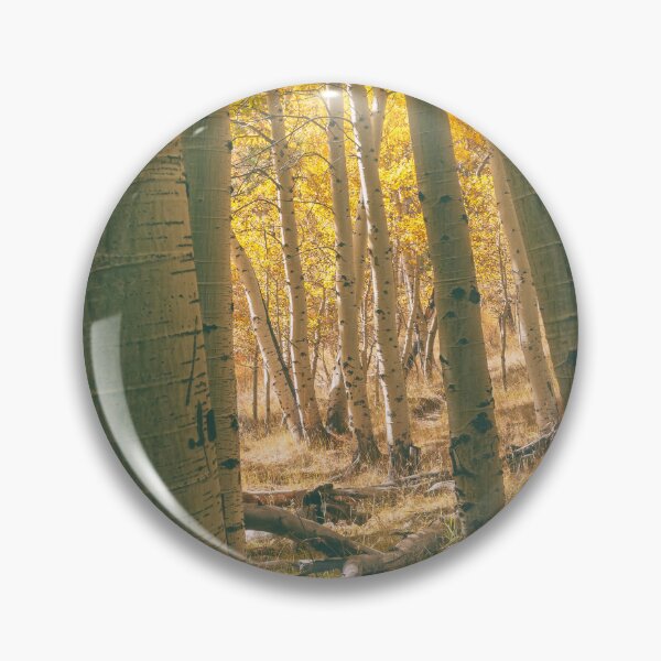Item preview, Autumn Aspens designed and sold by jvnimages.