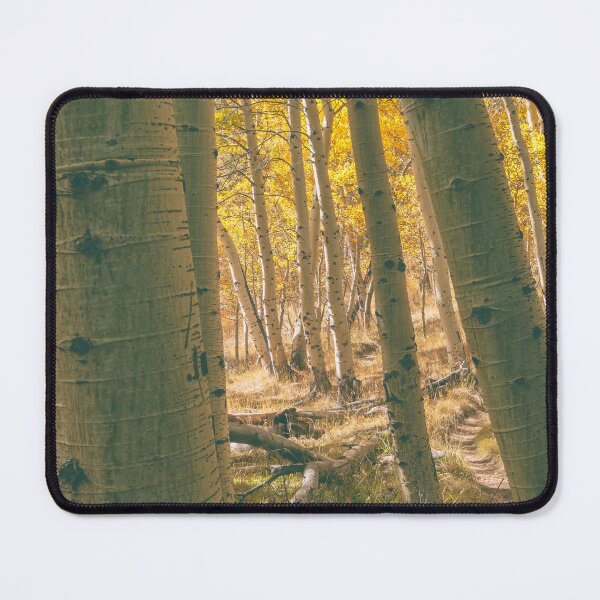 Item preview, Autumn Aspens designed and sold by jvnimages.