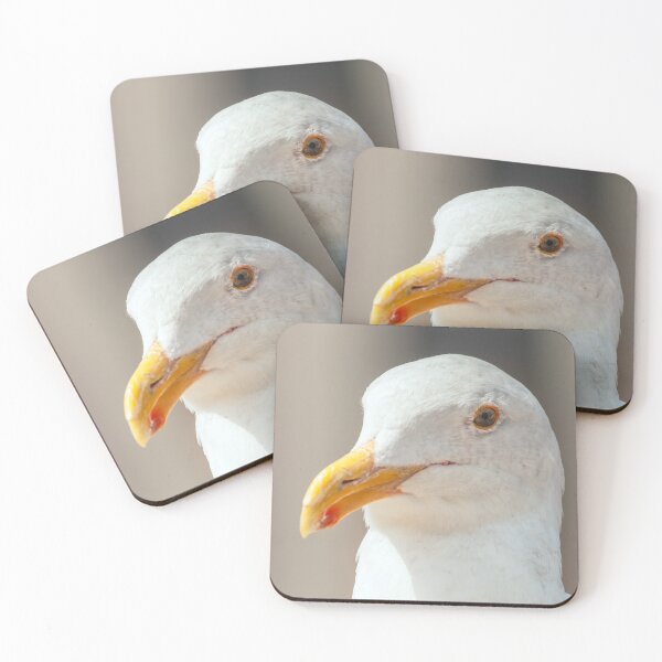 Item preview, Western Gull designed and sold by jvnimages.