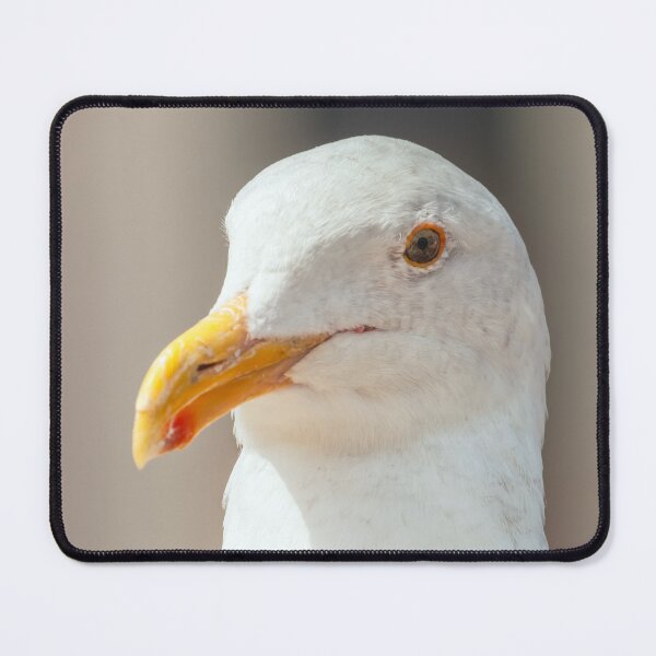 Item preview, Western Gull designed and sold by jvnimages.