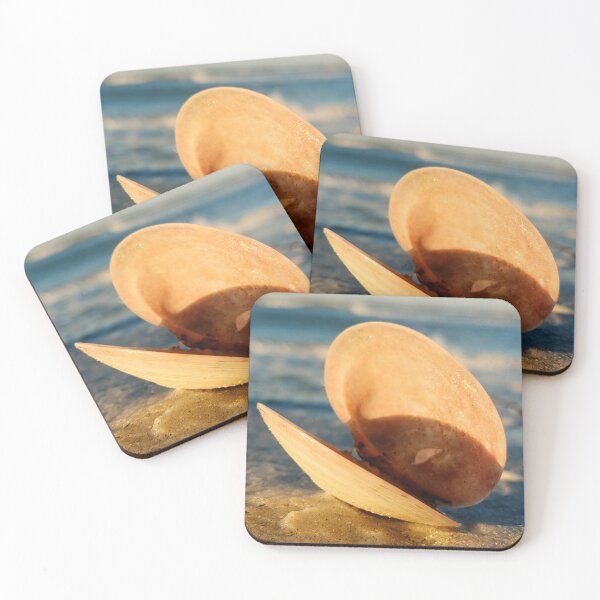 Item preview, Chowder designed and sold by Fynns Photography.