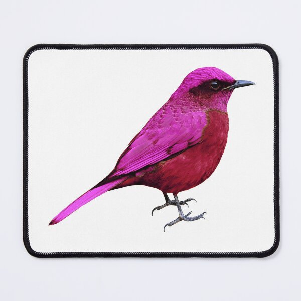 Item preview, Bird designed and sold by ladypennyface.