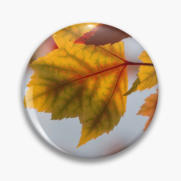 Item preview, Dry autumn leaves  designed and sold by Durgaa D.