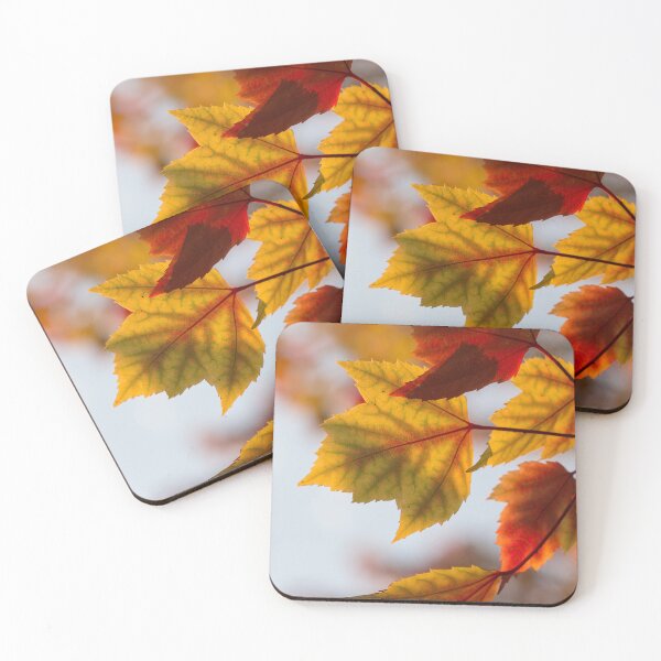 Item preview, Dry autumn leaves  designed and sold by Durgaa D.