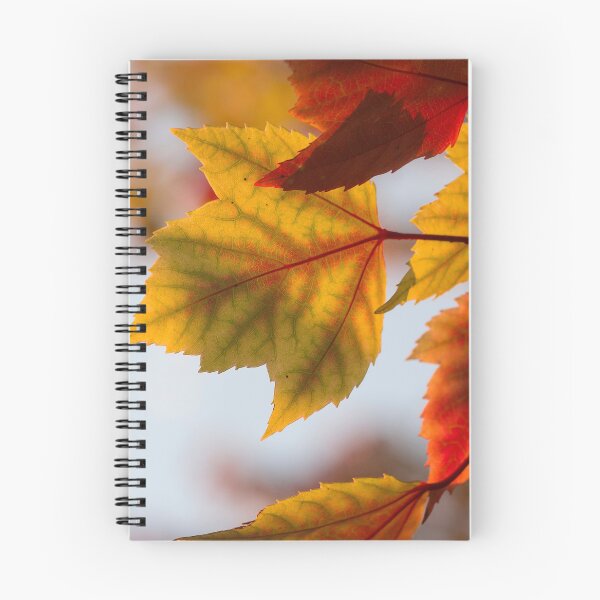 Item preview, Dry autumn leaves  designed and sold by Durgaa D.