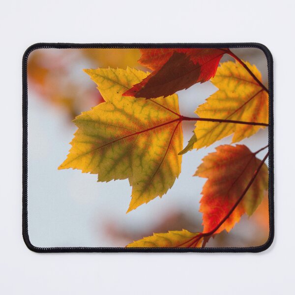 Item preview, Dry autumn leaves  designed and sold by Durgaa D.