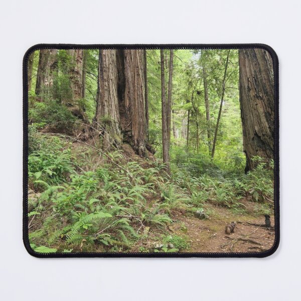 Item preview, Redwood Forest Floor designed and sold by nickelbuchy.