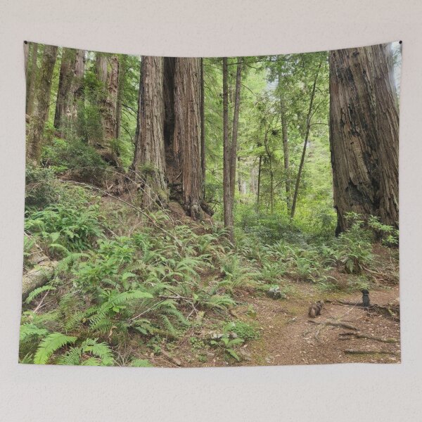 Item preview, Redwood Forest Floor designed and sold by nickelbuchy.