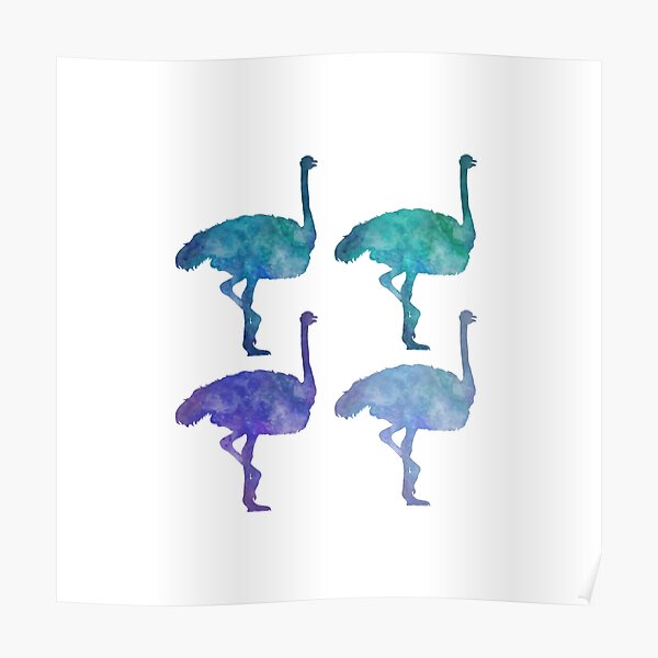 “Ostriches are the new Flamingos” Poster by aravera | Redbubble