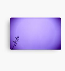 century Canvas Print