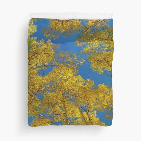 Aspen Trees Against Sky Duvet Cover