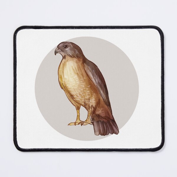 Item preview, Watercolor hawk with round color background designed and sold by Lomas Sublimado.