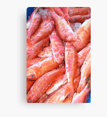 Fresh fish Canvas Print