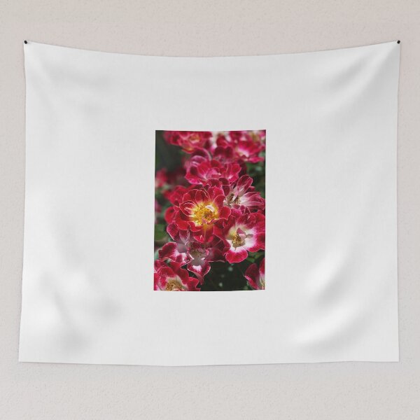 Item preview, The Beauty Of Carpet Roses  designed and sold by Joy Watson - Natural Light Photography .