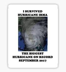 Survived Hurricane Irma September 2017 Sticker