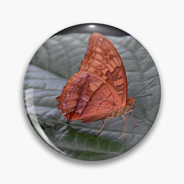 Item preview, Leafwing designed and sold by andreisky.