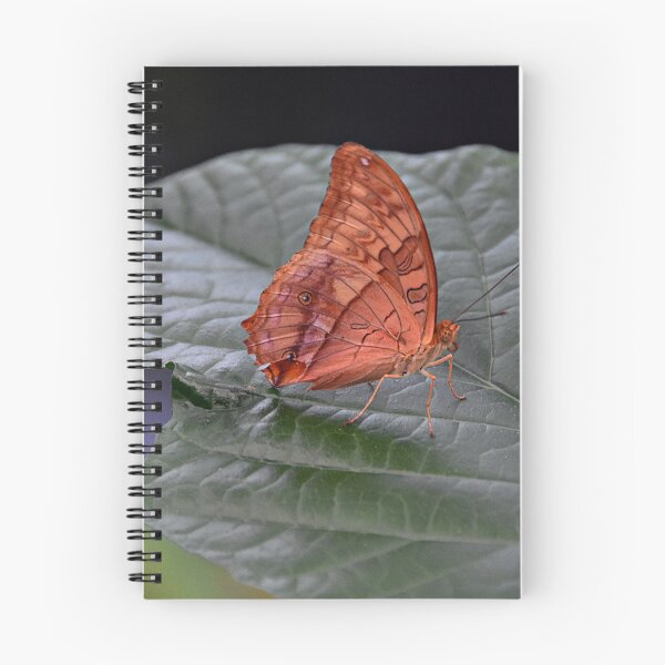 Item preview, Leafwing designed and sold by andreisky.
