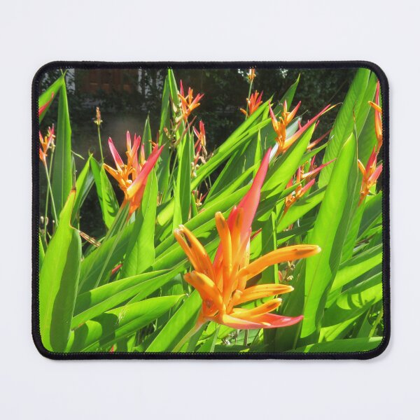 Item preview, Strelitzia designed and sold by Lacambalam.