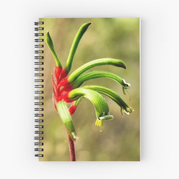 Item preview, Red Kangaroo Paw - Western Australia designed and sold by Life Images by Jill .