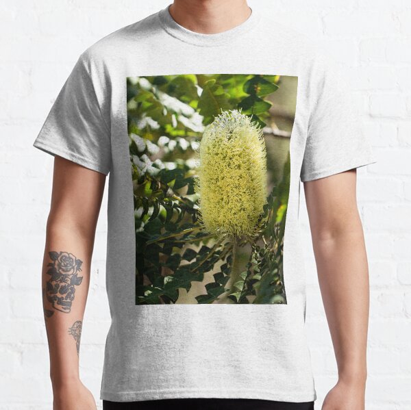 Bull Banksia - Banksia grandis Classic T-Shirt