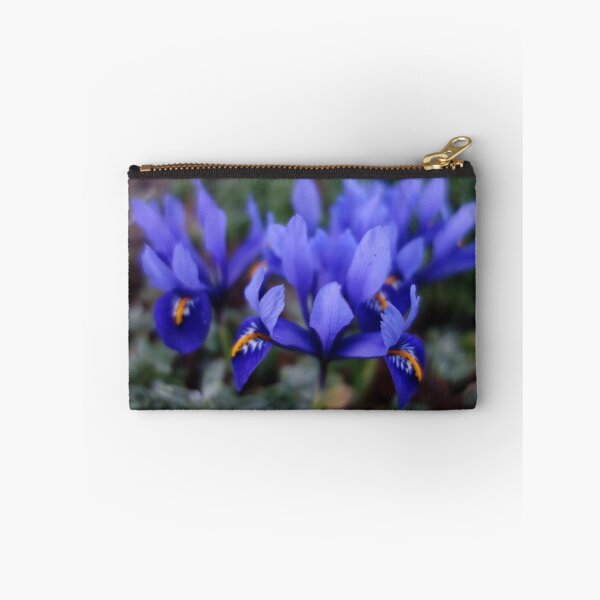 Item preview, Iris Reticulata designed and sold by pluspixels.