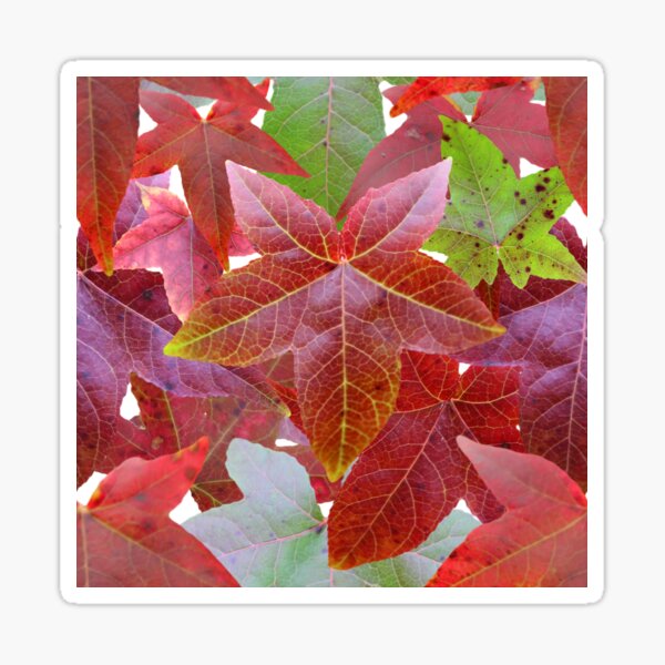 Item preview, autumn colors designed and sold by clad63.