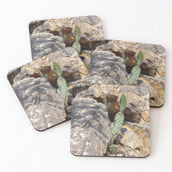 Item preview, Mountain cacti designed and sold by Weather gifts .