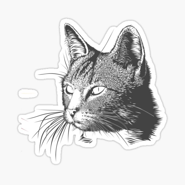 Artikel-Vorschau von Katzenskizze, designt und verkauft von Richstd.
