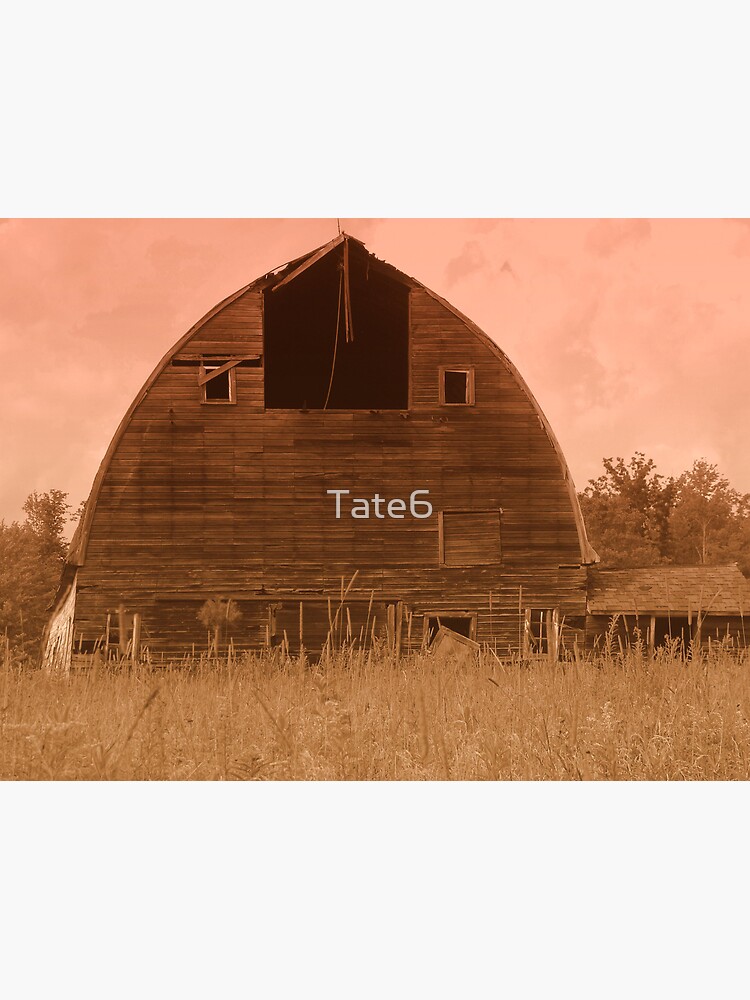 Aged Beauty by Tate6