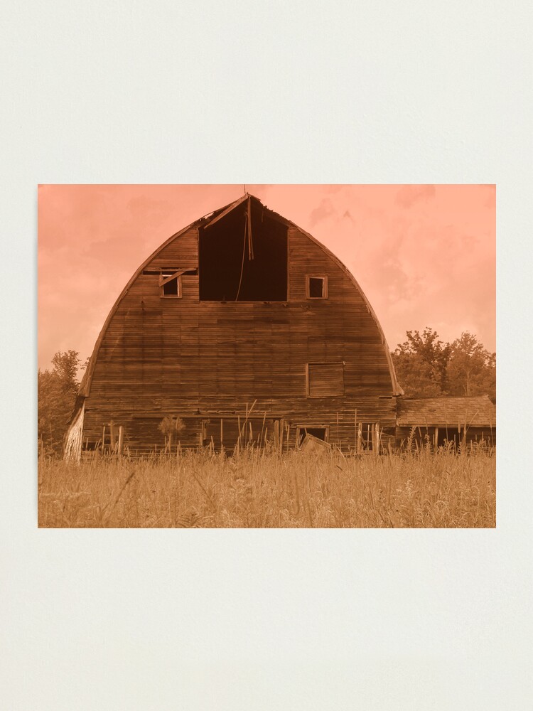 Alternate view of Aged Beauty Photographic Print