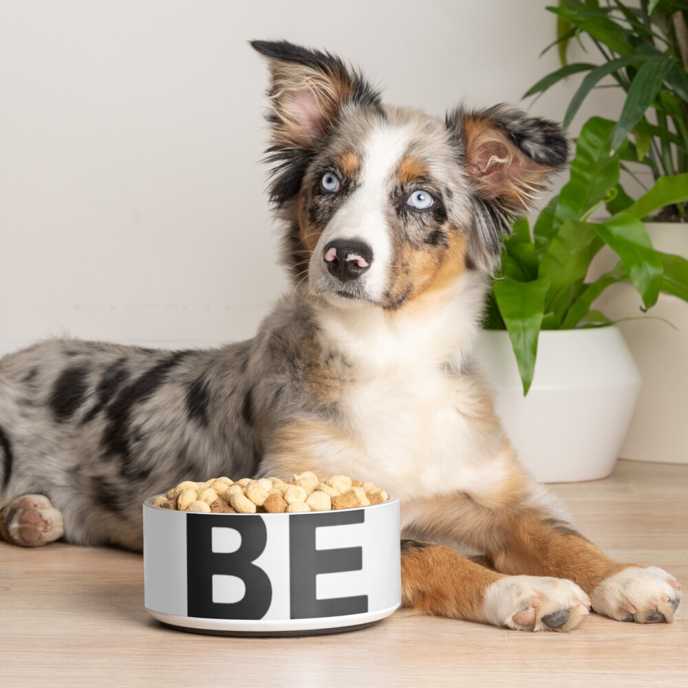 Item preview, Pet Bowl designed and sold by Lehonani.