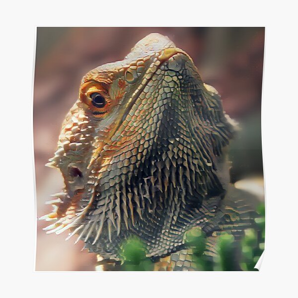 Bearded Dragon Poster For Sale By Batty4boba Redbubble