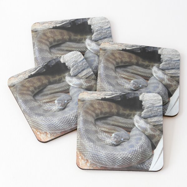 Item preview, Stimson's Python designed and sold by kirstybush.