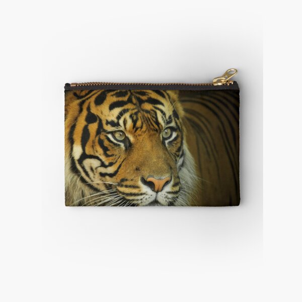 Item preview, Sumatran Tiger designed and sold by Chris Kean.