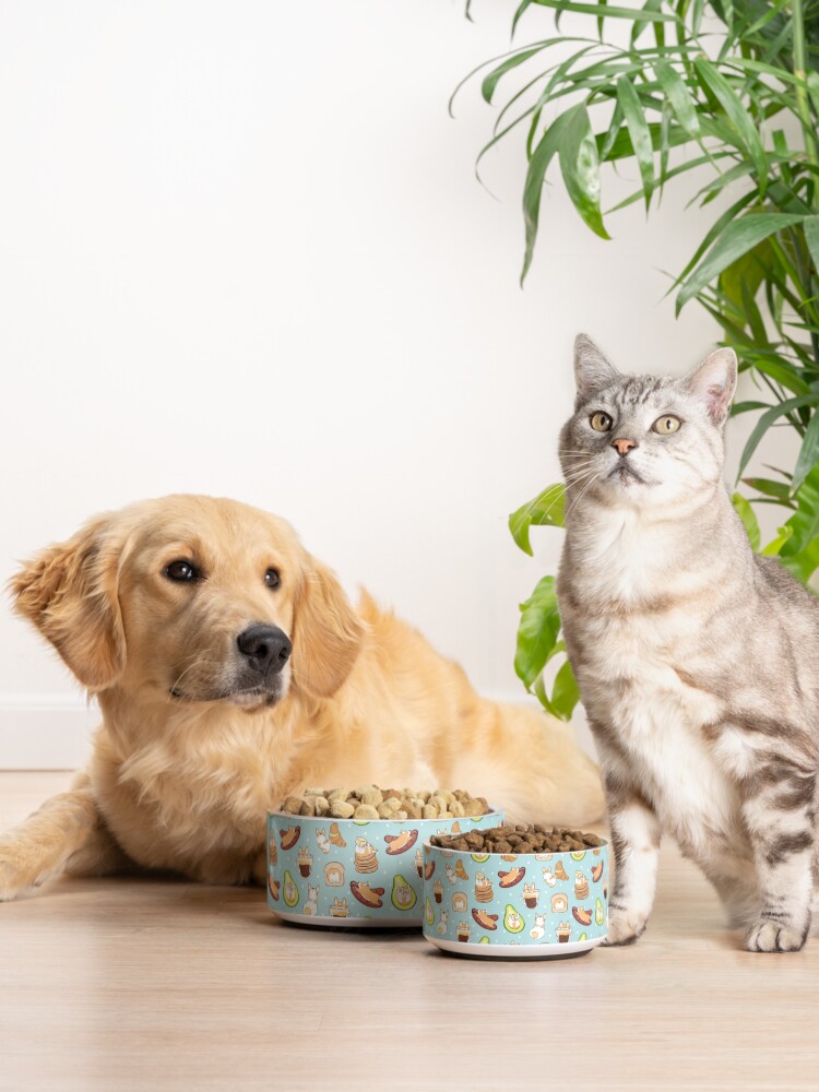 Alternate view of Corgi Breakfast - Blue Pet Bowl