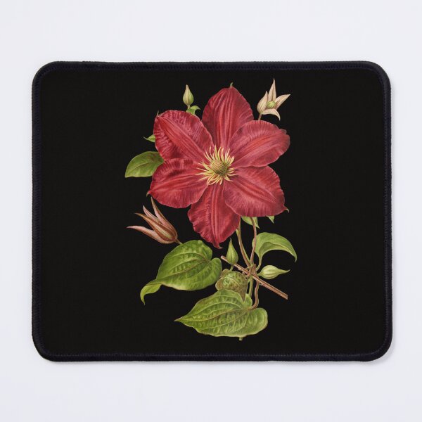 Item preview, Vintage Snapdragons Flower Decorations T-Shirts designed and sold by netdota.