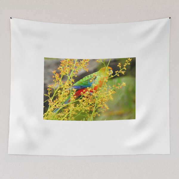 Item preview, PEEK A BOO designed and sold by Rocksygal52.