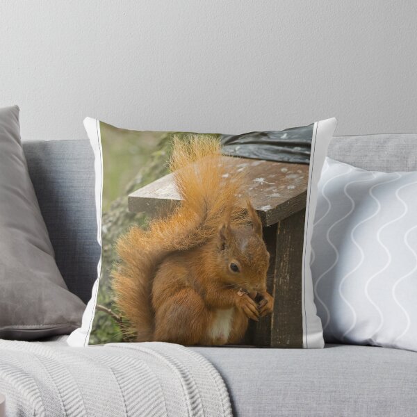 Item preview, Red Squirrel designed and sold by Derek Corner.