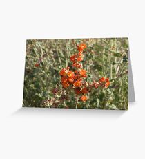 Desert Foilage Greeting Card