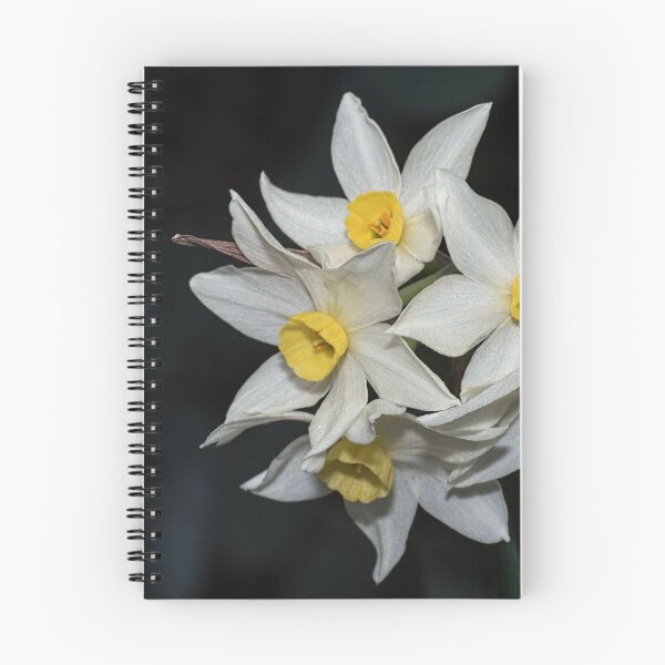 Item preview, Jonquils Leith Park Victoria 20170619 0763 designed and sold by Fred Mitchell.