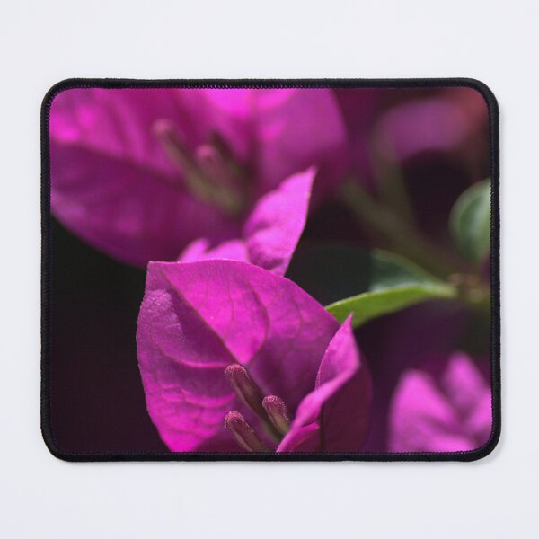 Item preview, Bright and Happy designed and sold by Joy Watson - Natural Light Photography .