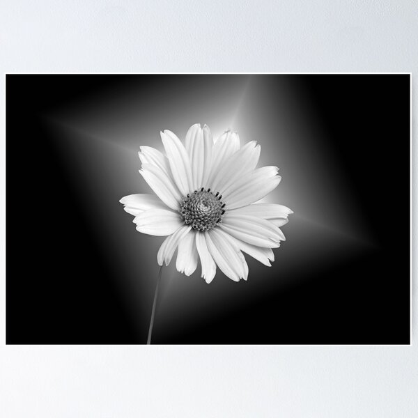 Item preview, Fragility designed and sold by Maria Dryfhout.