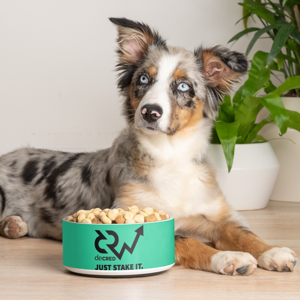 Item preview, Pet Bowl designed and sold by OfficialCryptos.