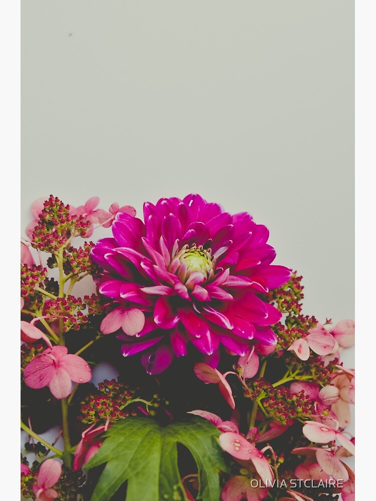 Tarjetas de felicitación «Flores de otoño Dahlia y Hortensia» de  oliviastclaire | Redbubble