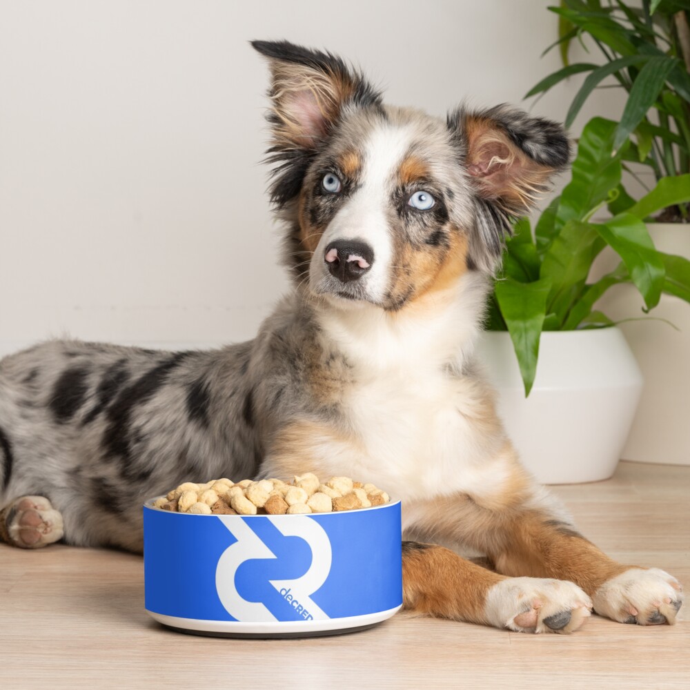 Item preview, Pet Bowl designed and sold by OfficialCryptos.