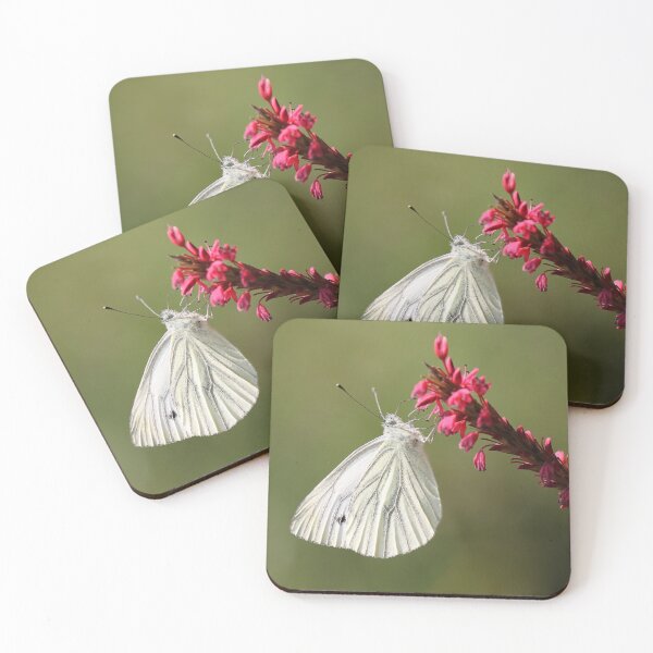 Item preview, Purity designed and sold by cuprum.